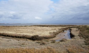 dengie-peninsula-essex-uk-001