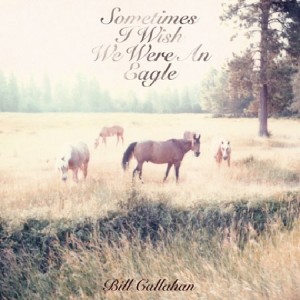 sometimes_i_wish_we_were_an_eagle-bill_callahan_480