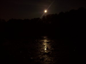 100_1182