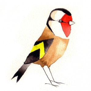 goldfinch