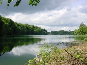 longlake