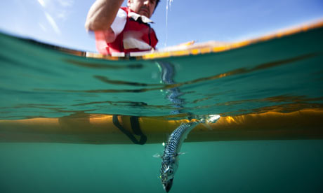 George-Monbiot-Fishing-001
