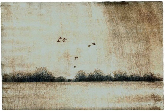 birds etching
