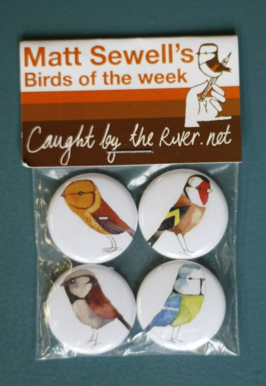 matt's birds