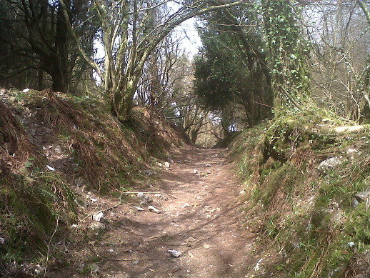 Blackdown Hills1