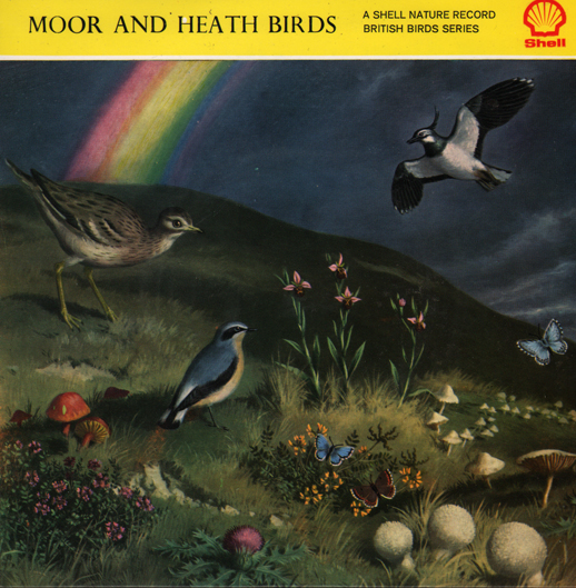 Moor & Heath birds