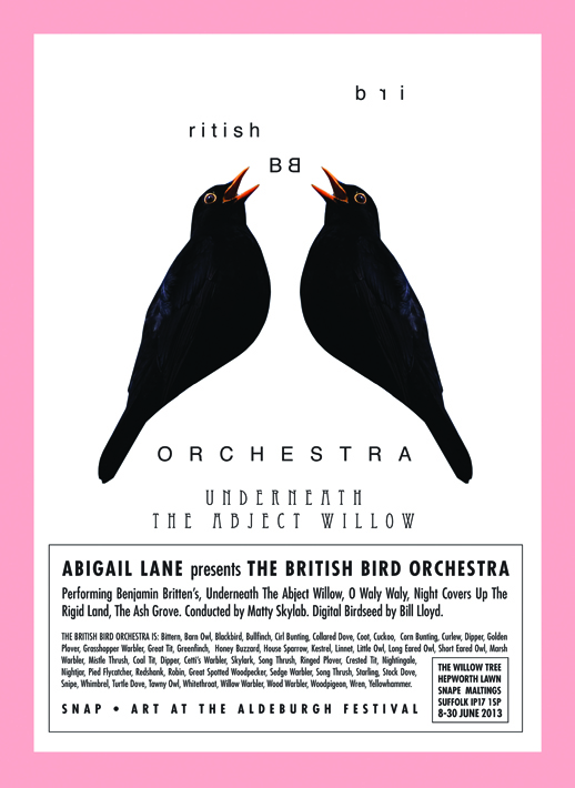 VF Bird poster 05