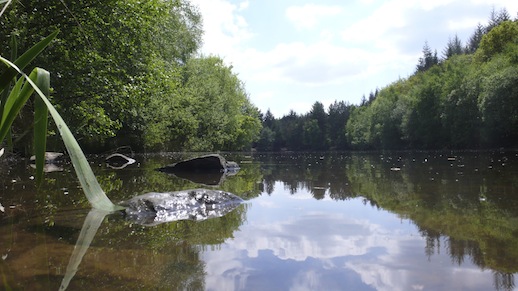 Speech House Lake