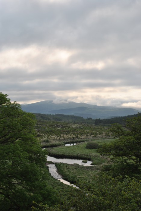 The Maiden's Pool