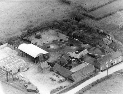 North End Farm 1950s