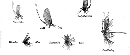 CBTR-fishing flies