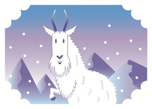 mountain goat front