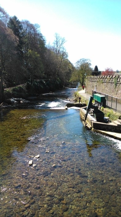 The Tavy at Tavistock