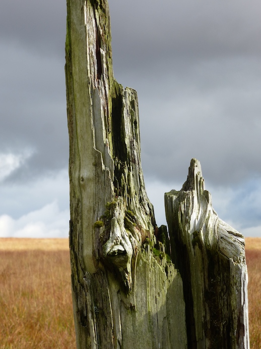 Detail of Post South of Fox Tor