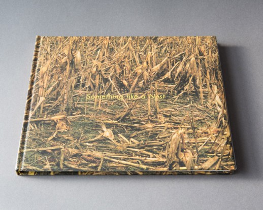 Something_like_a_Nest_Cover-01sm