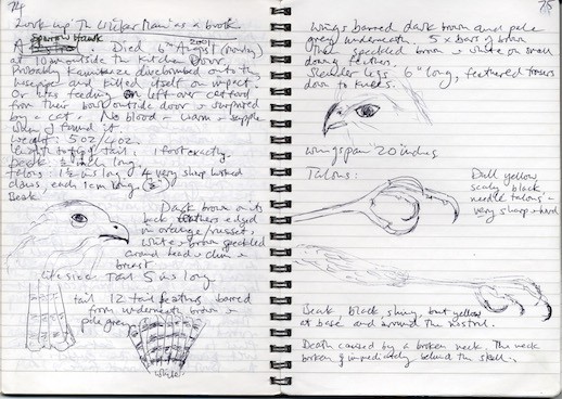 11 Sparrowhaw notebook