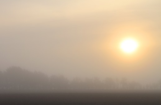 Parson drove Mist
