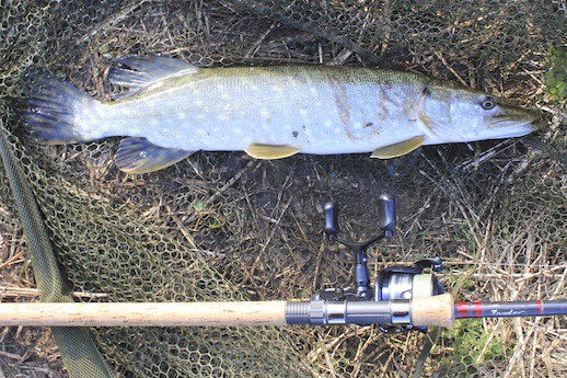 bitemarkpike