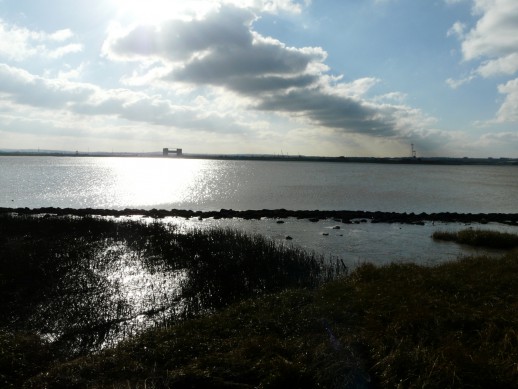 p1200332