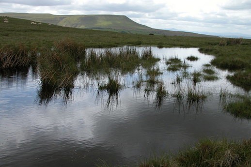 Pool_on_Cefn_Hill_-_geograph.org.uk_-_178839