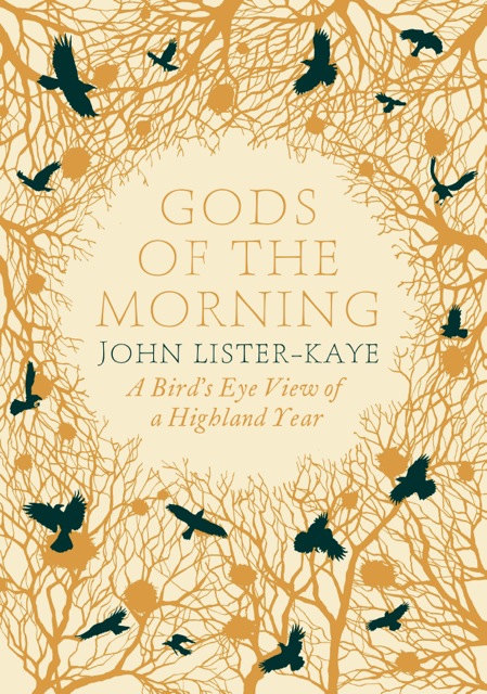 gods-of-the-morning-front-cover