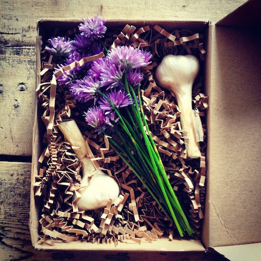 Chives & Garlic