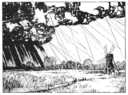 1 Wicken Fen_revised