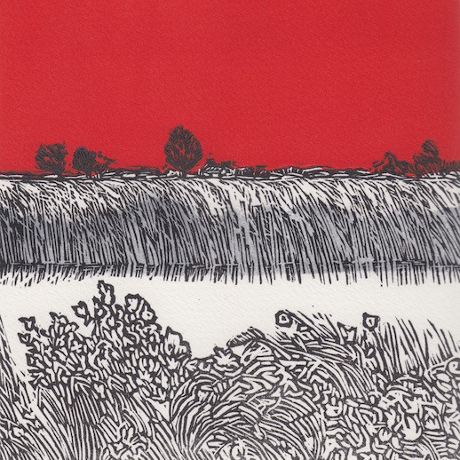 Scan