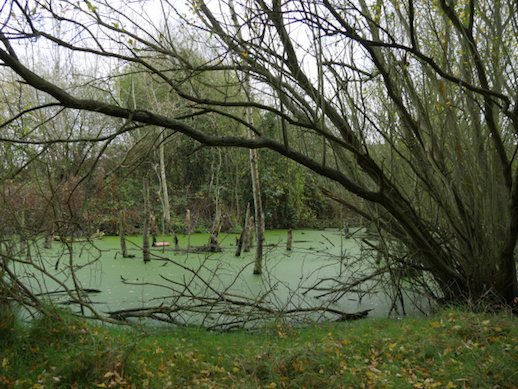 p1000014