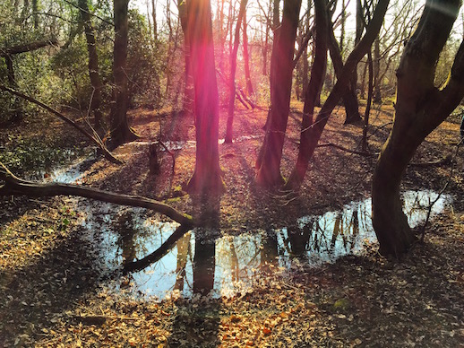 Old_Church_Epping_Forest