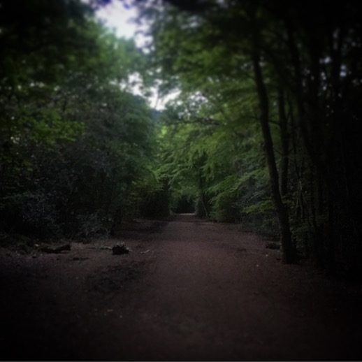 Twilight_ride