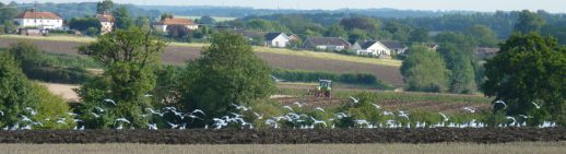 view_Hobbets_to_Hitcham