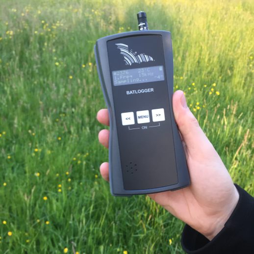 Bat_detector