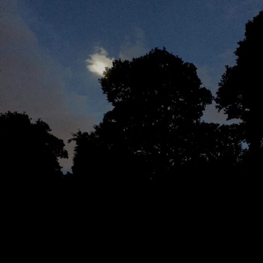 Moonlight