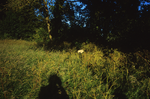 Justin Partyka - Cowpasture Lane (1), Mellis, Suffolk, 2014