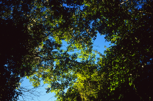 Justin Partyka - Cowpasture Lane (3), Mellis, Suffolk, 2014