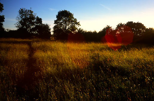 Justin Partyka - Mellis Common (3), Suffolk, 2014
