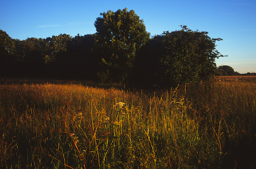Justin Partyka - Mellis Common (4), Suffolk, 2014