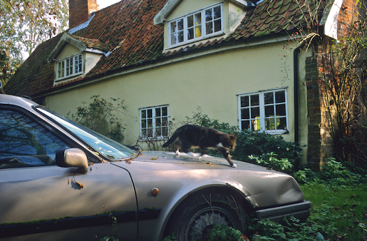 Justin Partyka - Walnut Tree Farm (1), Mellis, Suffolk, 2006