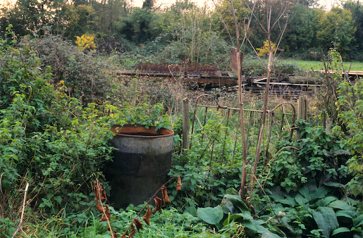 Justin Partyka - Walnut Tree Farm (2), Mellis, Suffolk, 2006
