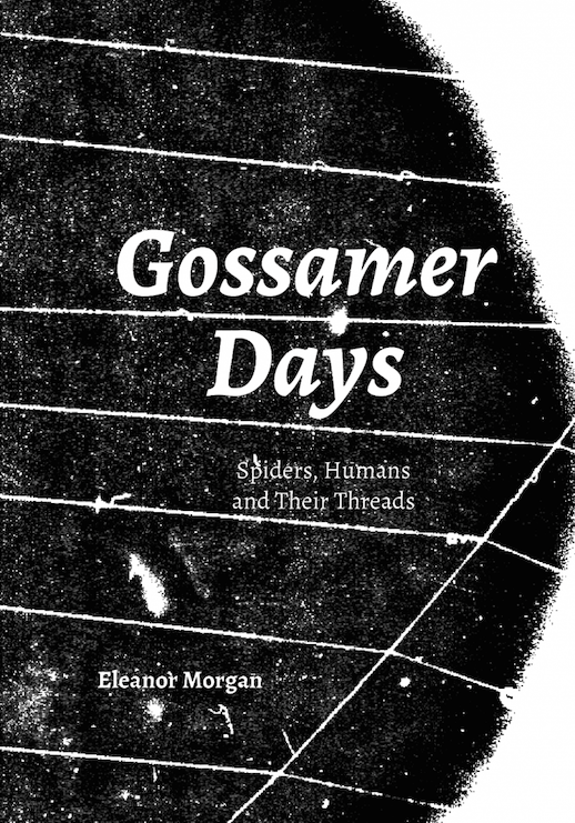 gossamer-announcement-768x1098