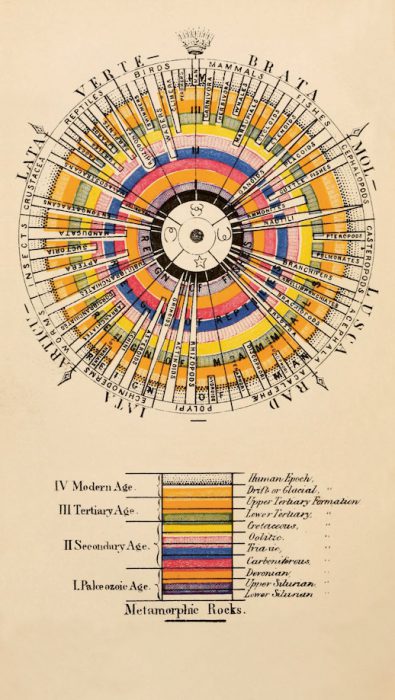 crust-of-the-earth-as-related-to-zoology-agassiz