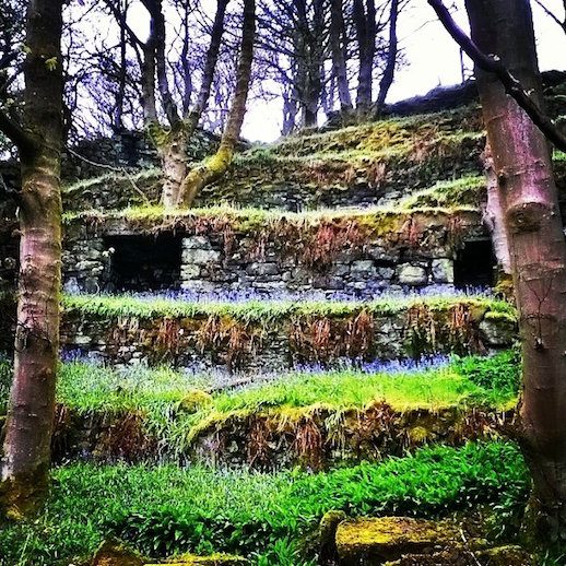 stone-skeps