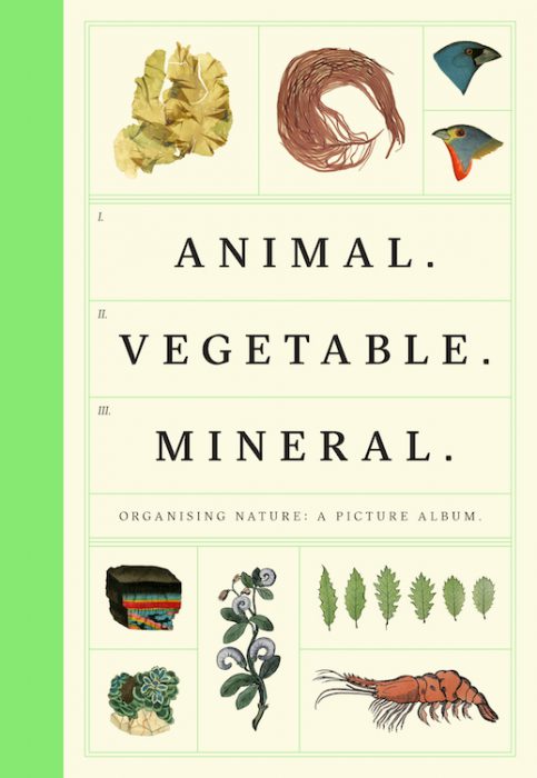 avm_wellcome_final-jacket_green-spine