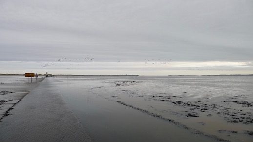 lindisfarne-causeway