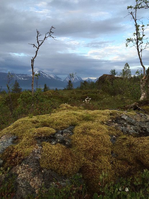 norway-for-cbtr