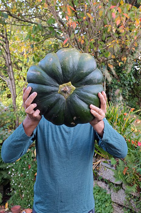 pumpkin-holder