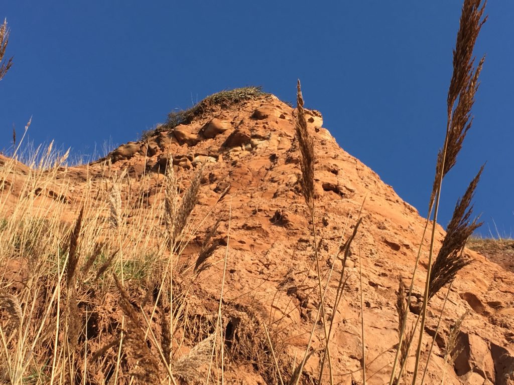 Sidmouth To Beer A Visitor S Guide To The Undercliff Caught By